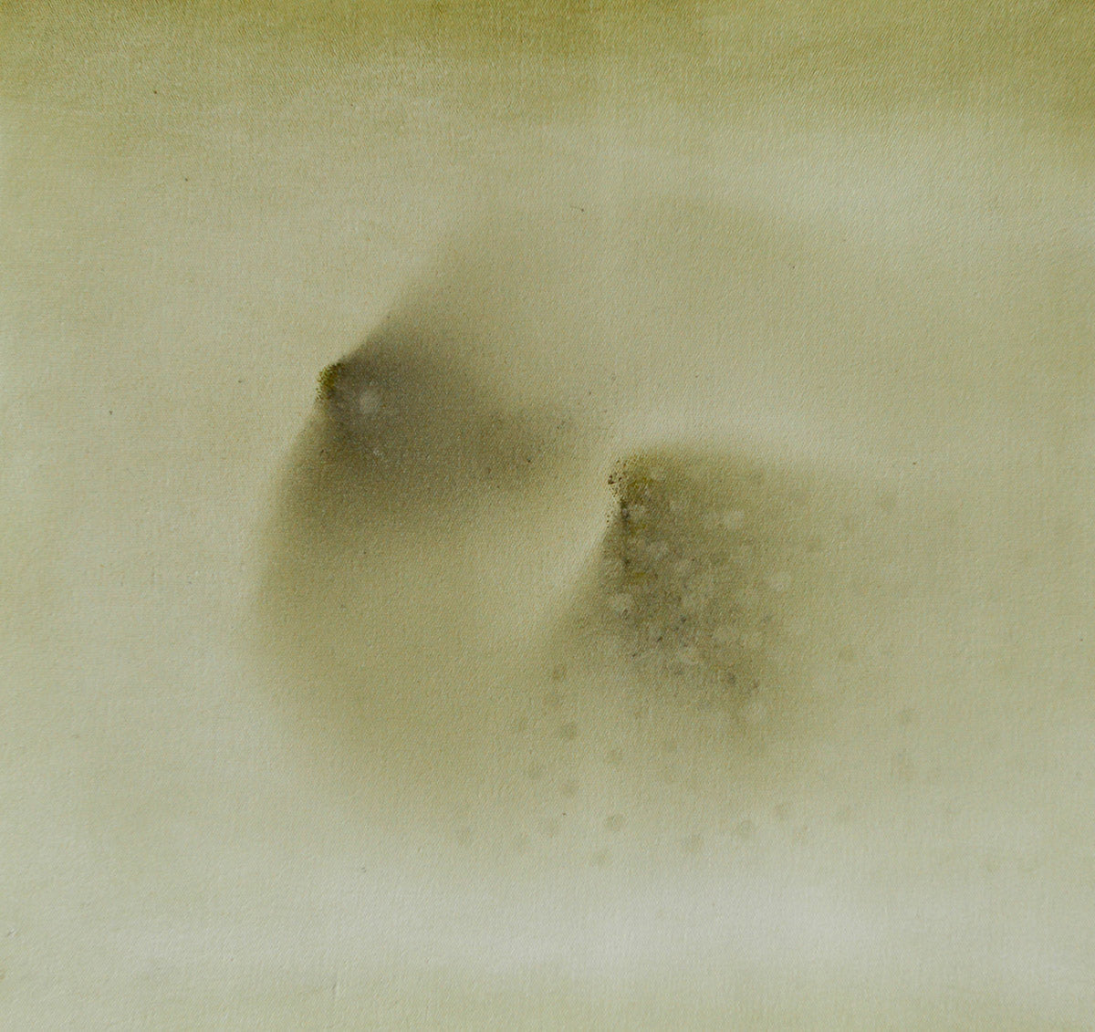primary-image
