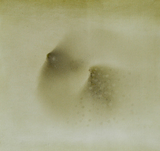 primary-image