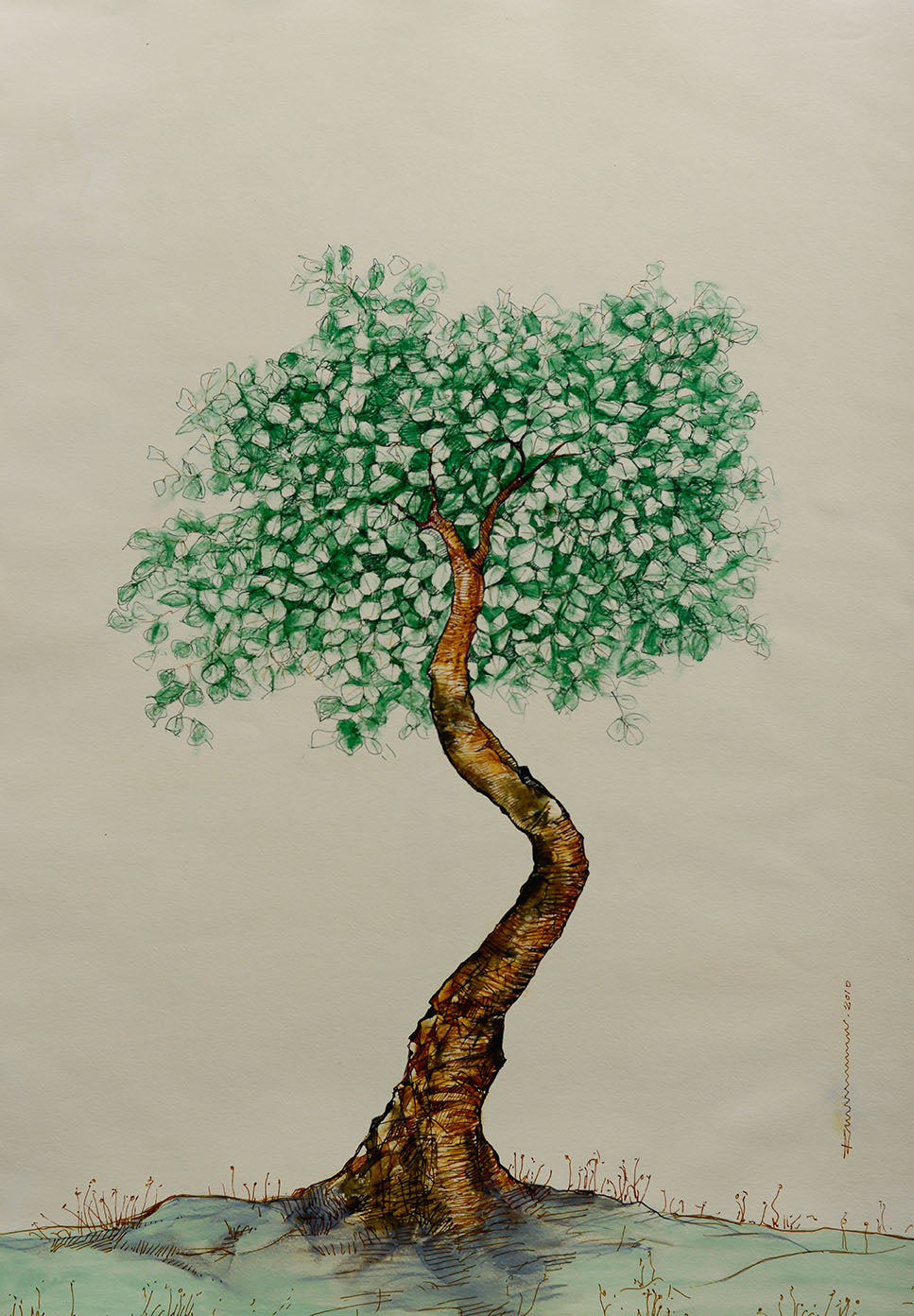 primary-image