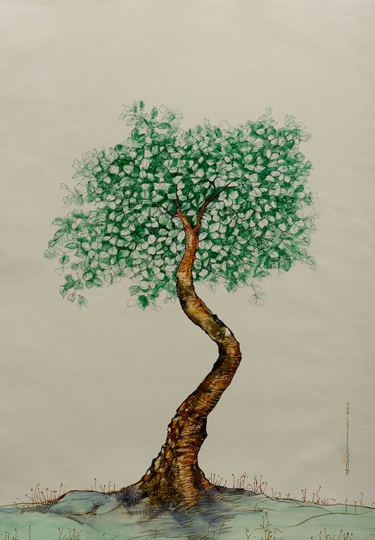 primary-image