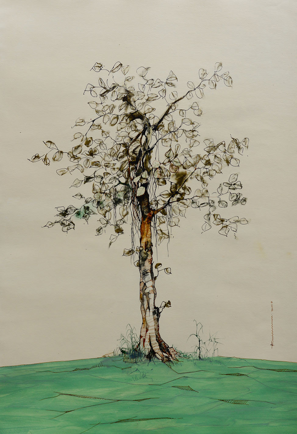 primary-image