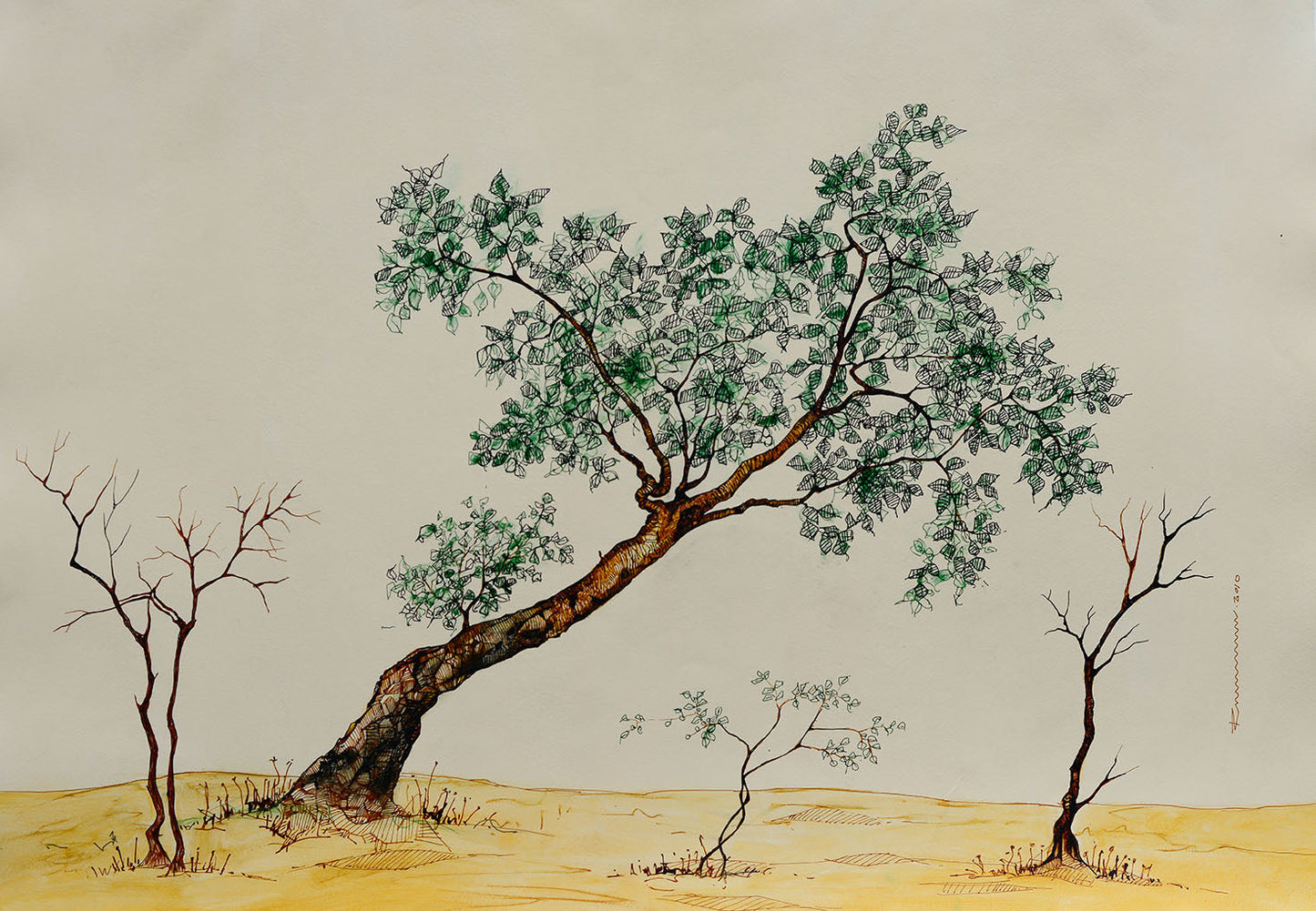 primary-image