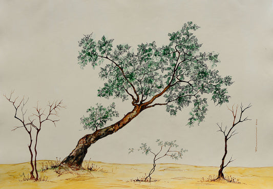 primary-image