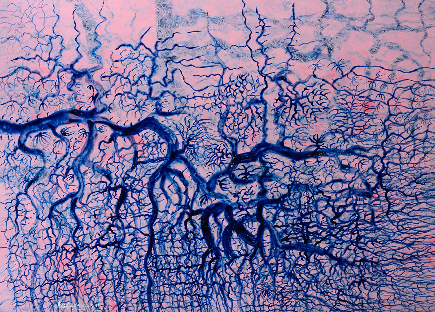 primary-image