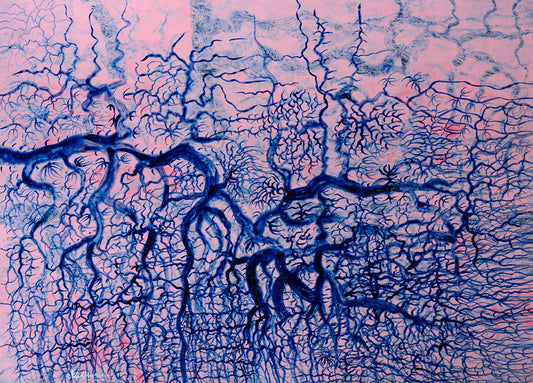 primary-image