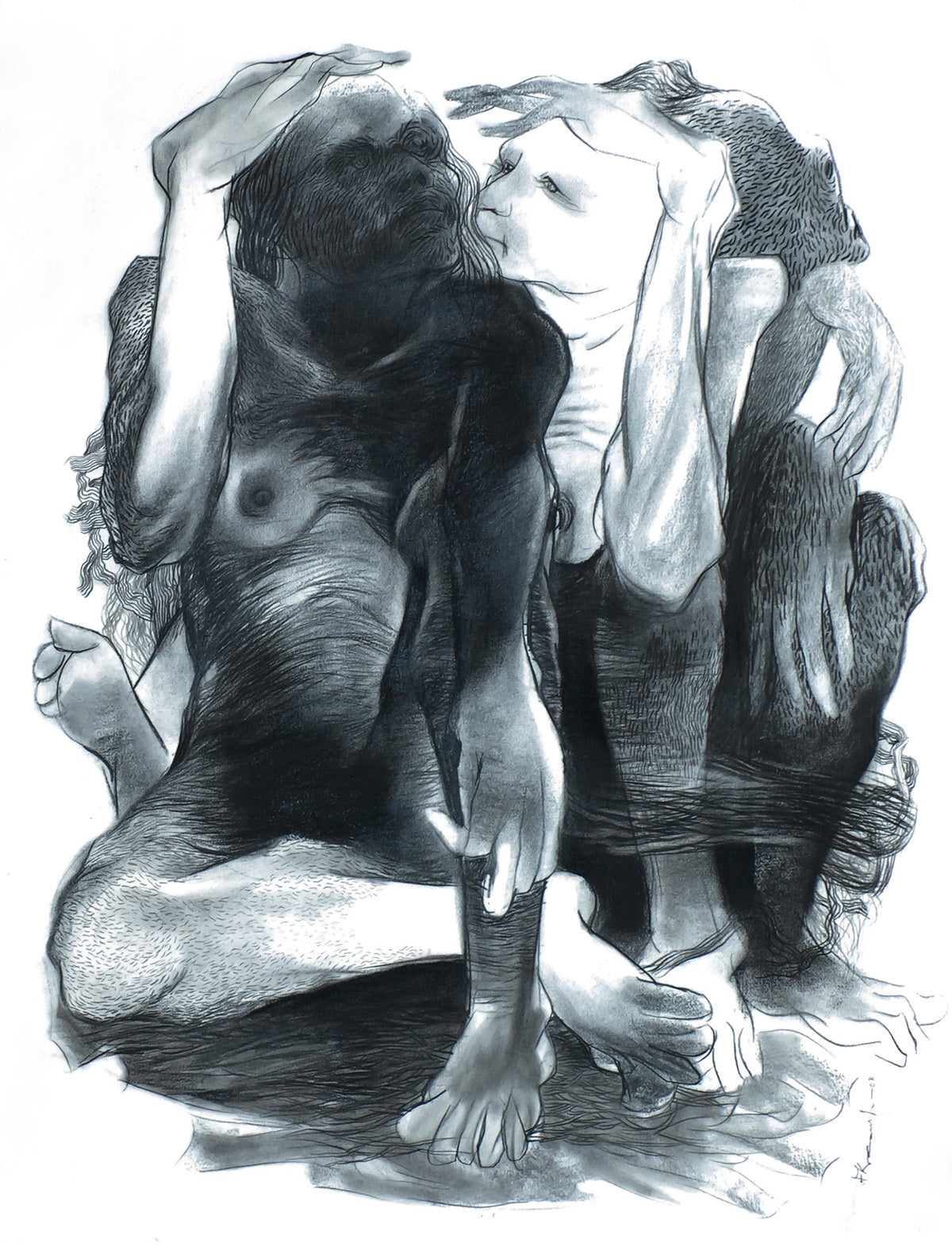 primary-image