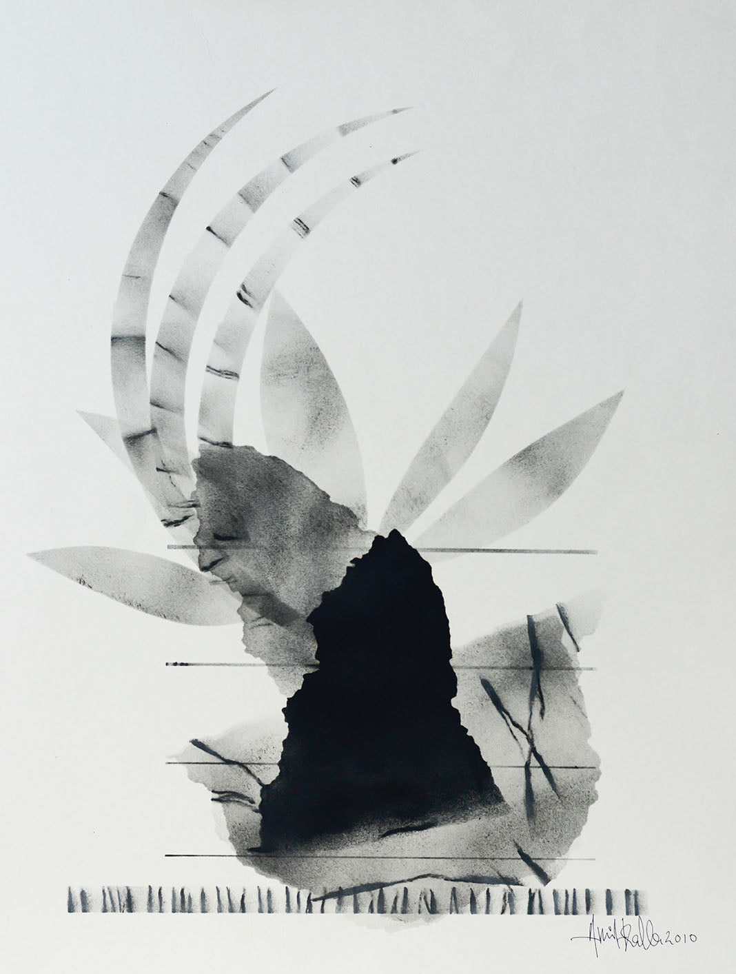 primary-image